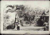 Stearn's house Mabel and Northa Vliet